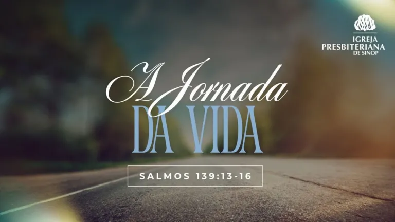 A JORNADA DA VIDA